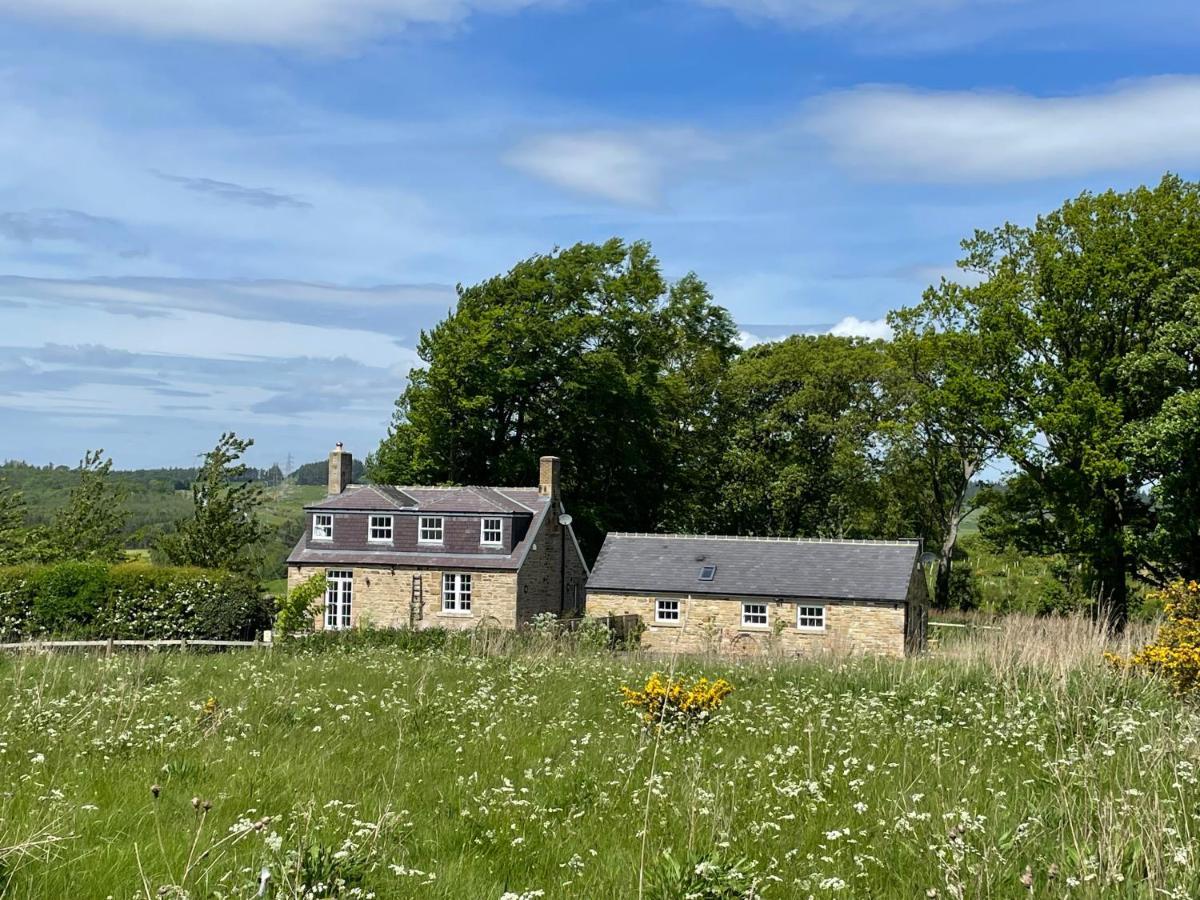 Stay On The Hill - Self Catered Cottages Laverick And Bothy 赫克瑟姆 外观 照片