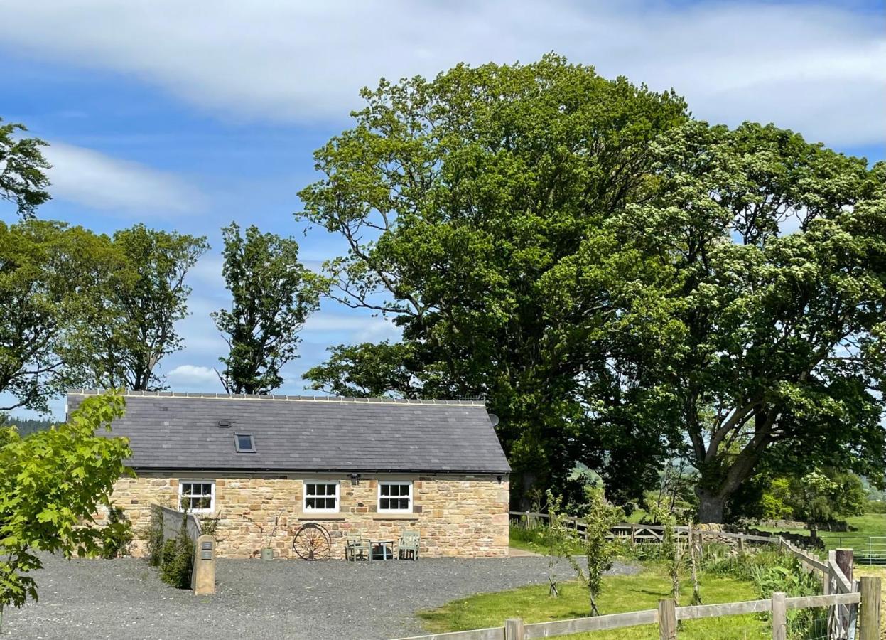 Stay On The Hill - Self Catered Cottages Laverick And Bothy 赫克瑟姆 外观 照片