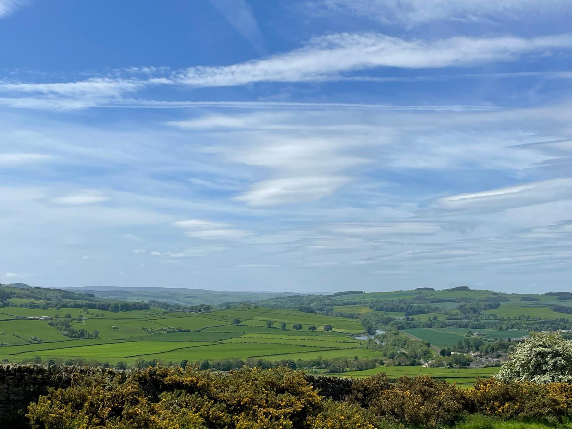 Stay On The Hill - Self Catered Cottages Laverick And Bothy 赫克瑟姆 外观 照片
