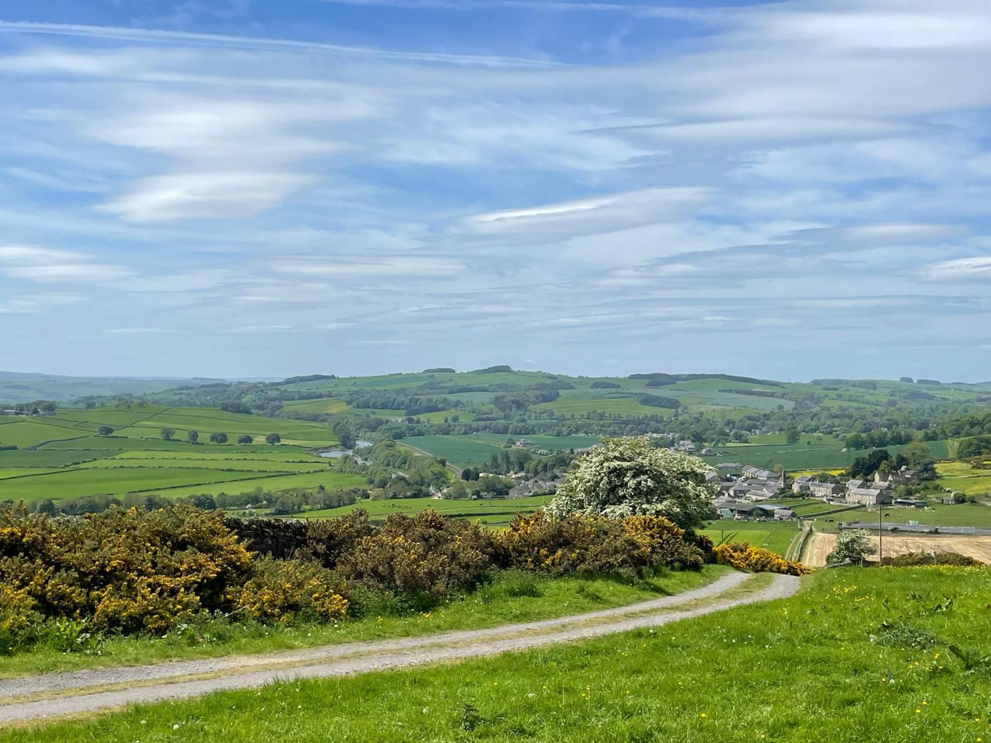 Stay On The Hill - Self Catered Cottages Laverick And Bothy 赫克瑟姆 外观 照片